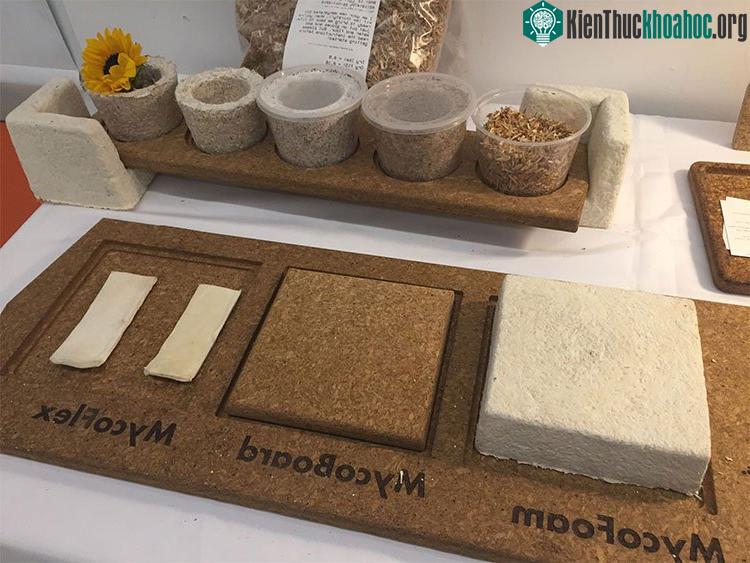 Sợi nấm có thể được dùng để tạo ra loại vật liệu mềm và xốp.
