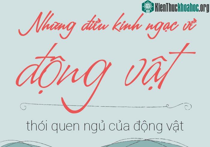 Thói quen ngủ của động vật