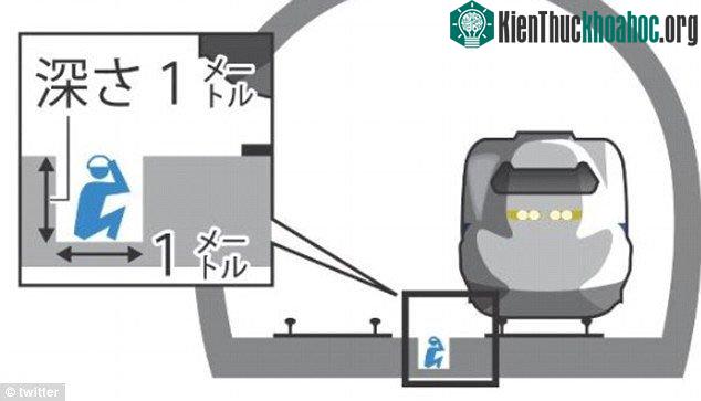 Đồ họa về trải nghiệm ngồi quan sát tàu chạy của nhân viên bảo trì tại JR West.