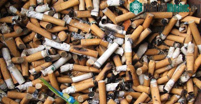 Đầu lọc thuốc là là một trong những tác nhân đầu độc đại dương hàng đầu do loài người gây ra.