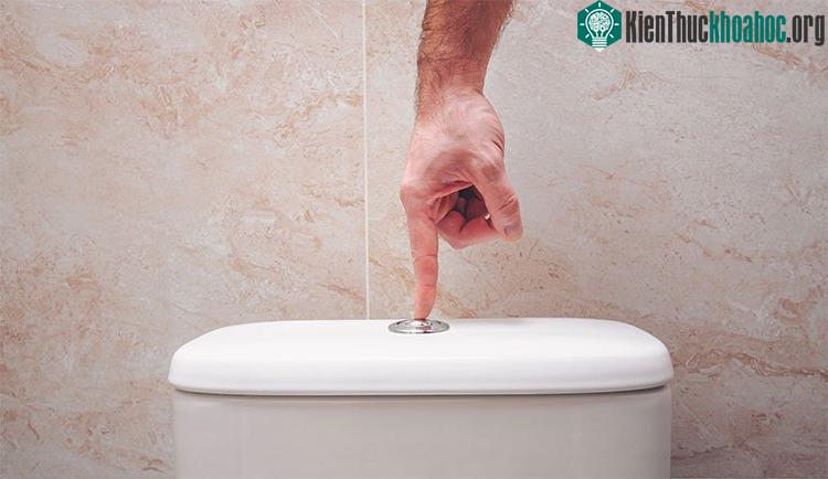 Bạn nên đóng nắp bồn cầu lại trước khi giật nước. (Ảnh: MH).