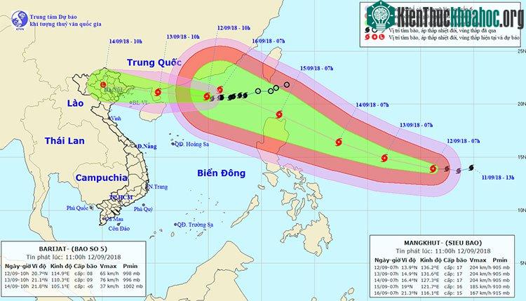Hướng di chuyển của bão số 5.