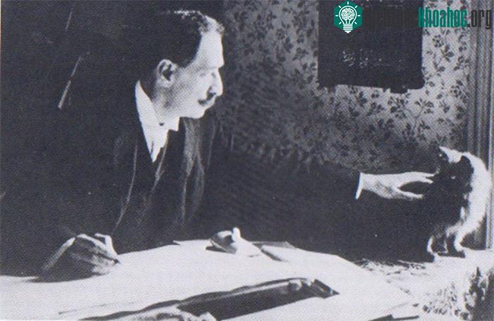 Họa sĩ Louis Wain (1860-1939) nổi tiếng trong lịch sử nước Anh với các bức tranh vẽ về mèo. (Ảnh: DeviantArt).