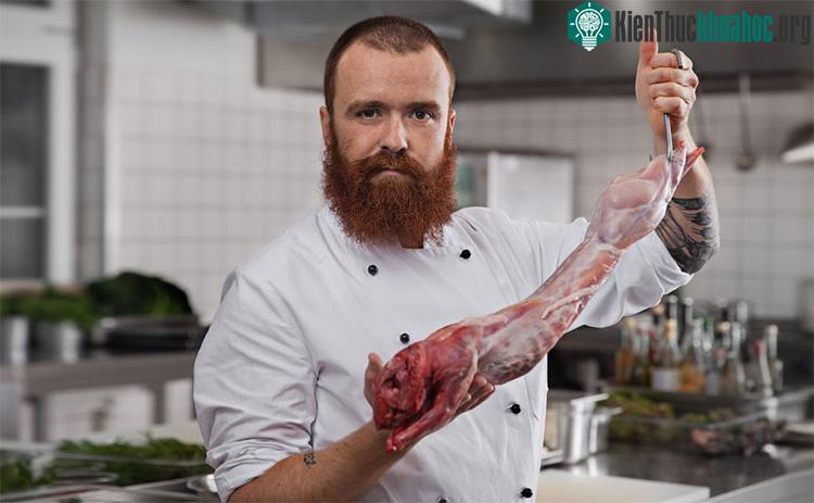 Moritz Brunner, một công dân Thụy Sĩ, từng chạy chiến dịch quảng cáo gây tranh cãi cho nhà hàng không tồn tại phục vụ thịt mèo. (Ảnh: SF).