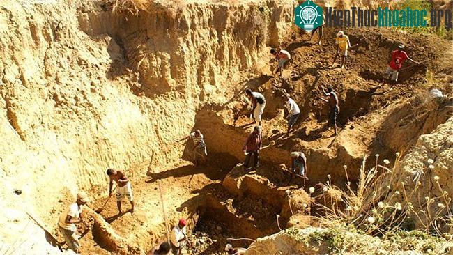 Các nhà nghiên cứu khai quật xương chim voi ở di chỉ bên sông Christmas, Madagascar.