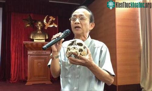 PGS Nguyễn Lân Cường cầm sọ người tiền sử mới phát hiện được.