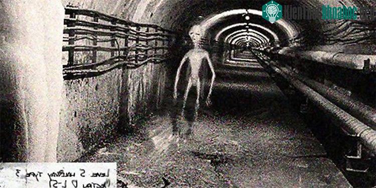 Ông nói rằng ở sâu trong lòng đất, những “Gray ” hút máu người và máu bò để tồn tại.