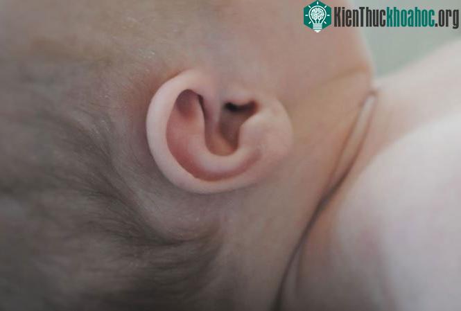 Não có khả năng khử tiếng ồn ảnh 0