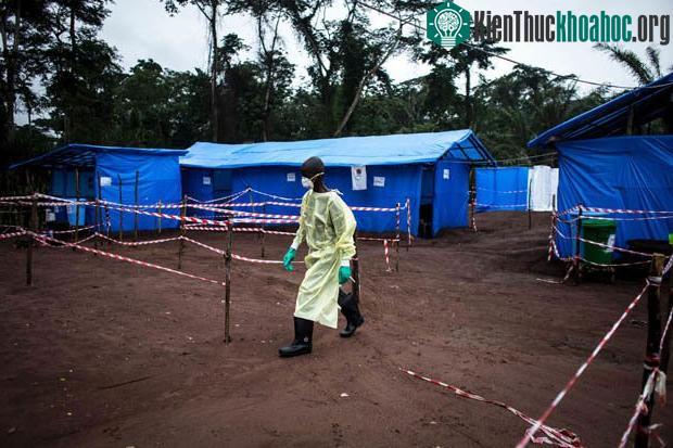 WHO cảnh báo "thần chết" Ebola sẽ quay lại, gây kinh hoàng cho nhân loại ảnh 0
