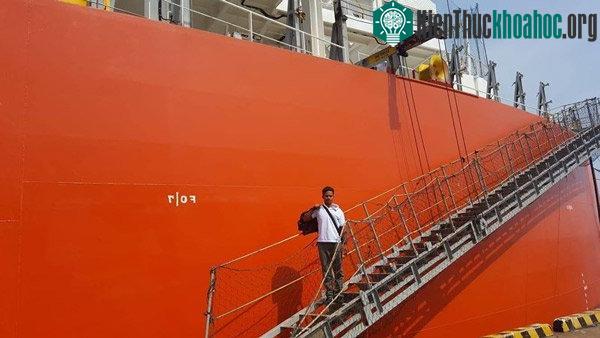 Aldilang ngày chuẩn bị được đưa về nhà. Ảnh: Indonesian Consulate General Osaka/Facebook.