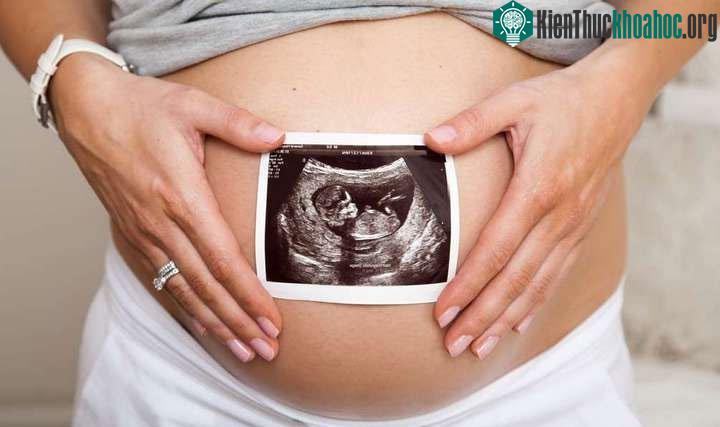 Đây là sự kiện đầu tiên trên thế giới các nhà khoa học tạo ra được tế bào trứng từ tế bào máu.