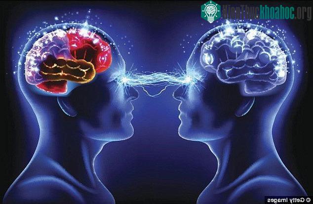 BrainNet sau này có thể kết nối nhiều bộ não hơn, thậm chí là qua môi trường internet.