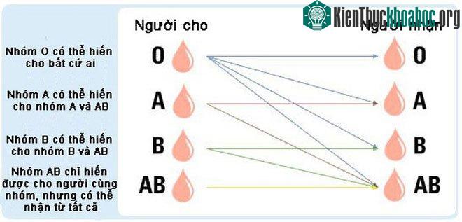Sự tương hợp của các nhóm máu hiện tại, nhưng nó có thể được xóa bỏ trong tương lai gần.