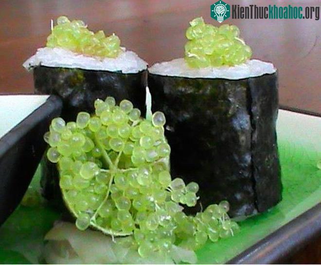 Cận cảnh hơn chút nhé!
