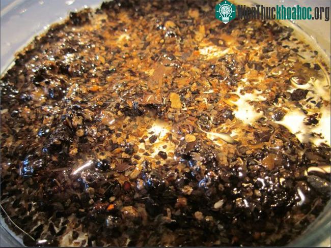 Dấu vết sự tồn tại của thực vật trong khu vực nhà vệ sinh.