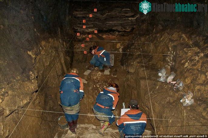 Rất nhiều nhà khoa học từ nhiều quốc gia tham gia khai quật