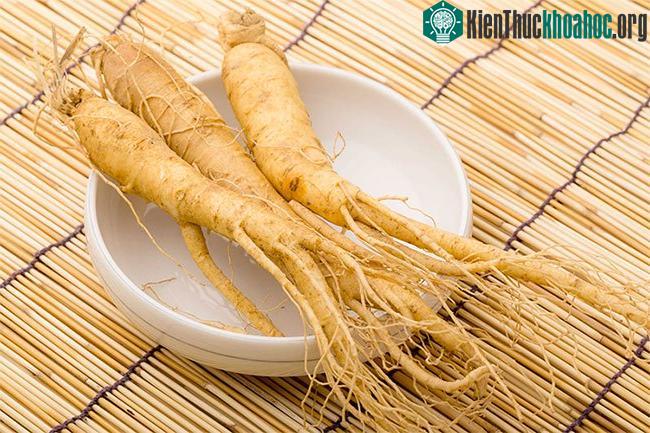 Sâm Triều Tiên có tác dụng chữa yếu sinh lý ở nam giới.
