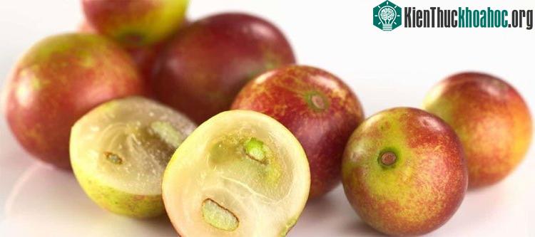 Và đây là cảnh tượng khi chúng ta bổ nó ra