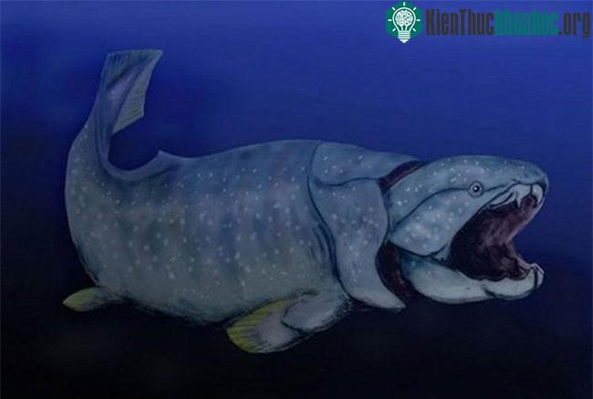 Dunkelosteus