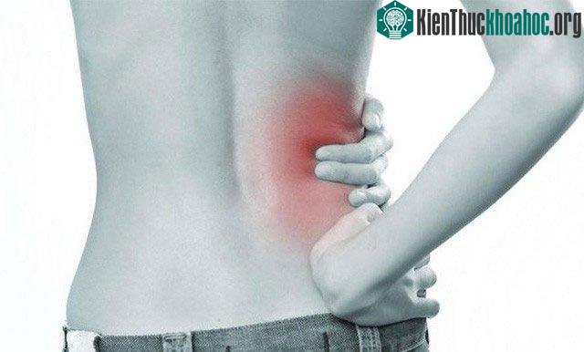 Phụ nữ bị dễ bị nhiễm trùng bàng quang nhiều hơn nam giới.