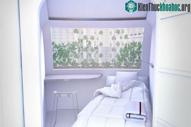 Một căn phòng ngủ xinh xắn có cửa sổ hướng ra vườn cây của ngôi nhà