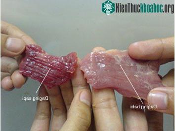 Thịt bò cũng có phần nặng mùi hơn thịt lợn.