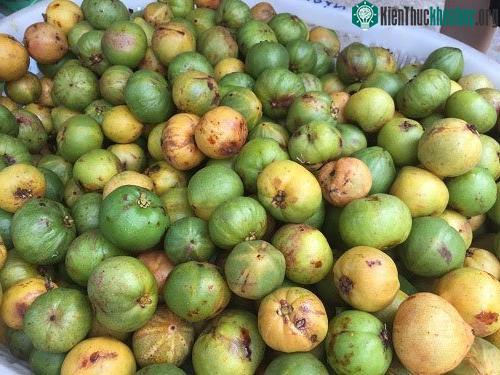 Quả bứa không chỉ làm tăng thêm gia vị cho mỗi bữa ăn, mà còn rất tốt cho sức khỏe.