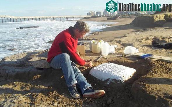 Các dấu chân hóa thạch được cho là có niên đại hơn 30.000 năm - (Ảnh từ CEN).