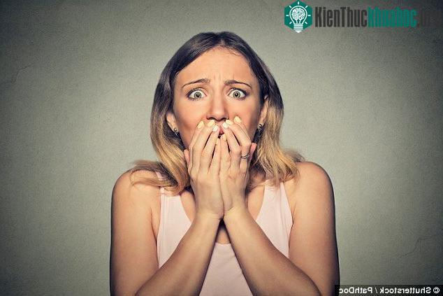 Không ở đâu an toàn cả...