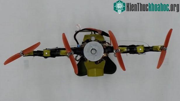 Quad-Morphing có thể tự bay len lỏi vào mọi ngõ ngách hẹp.