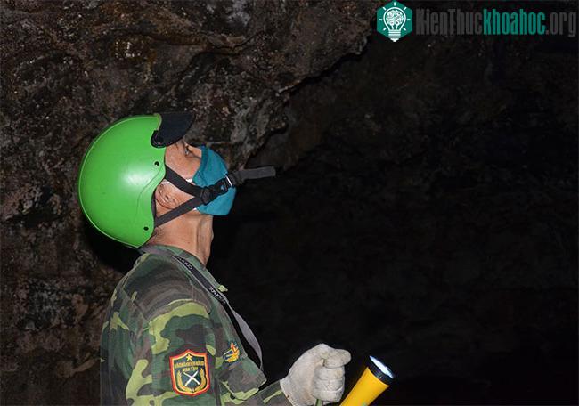 Kết quả khảo sát phát hiện mới hàng loạt địa điểm chứa di tích khảo cổ tiền sử.