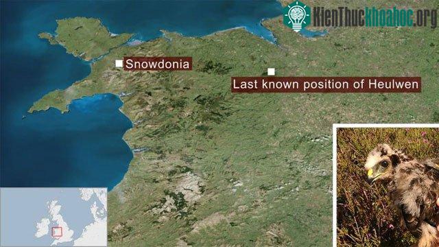 Heulwen đã bay từ Gwynedd, qua Snowdonia, hướng tới Wrexham.