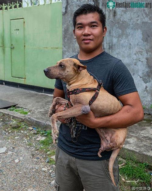 Chú chó hai chân với nghị lực người phải nể phục ảnh 1