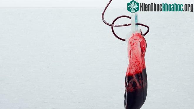 Hiếm nhất là nhóm máu mang tên Rhnull - hay Rh vô giá trị