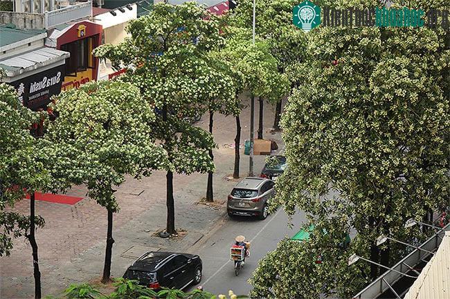 Những khoảnh khắc mùa thu Hà Nội đẹp nao lòng