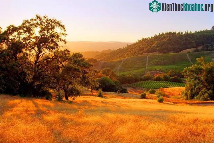 Thung lũng Sonoma (California, Mỹ)