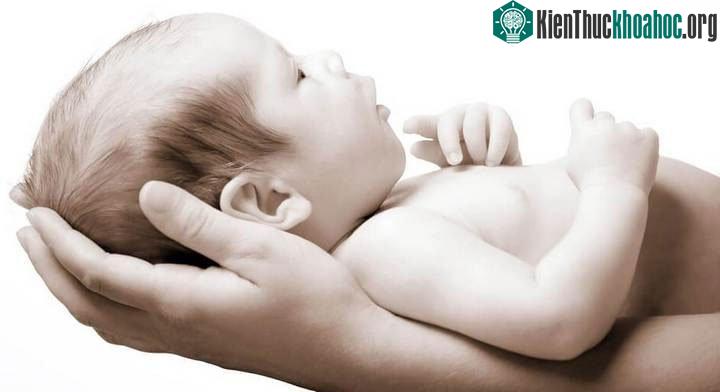 Công nghệ này sẽ là cứu cánh tuyệt vời cho các cặp vợ chồng hiếm muộn, người đồng tính, chuyển giới,…
