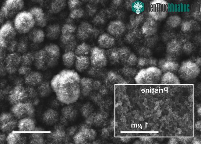 Cực âm sau khi xả điện, cho thấy các vật liệu carbon có nguồn gốc từ việc phát thải CO2, và bề mặt ban đầu trước khi xả của điện cực.