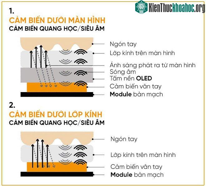 Cảm biến vân tay ở trong và dưới màn hình