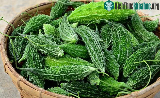 Công hiệu chống ung thư của mướp đắng đến từ protein quinine.