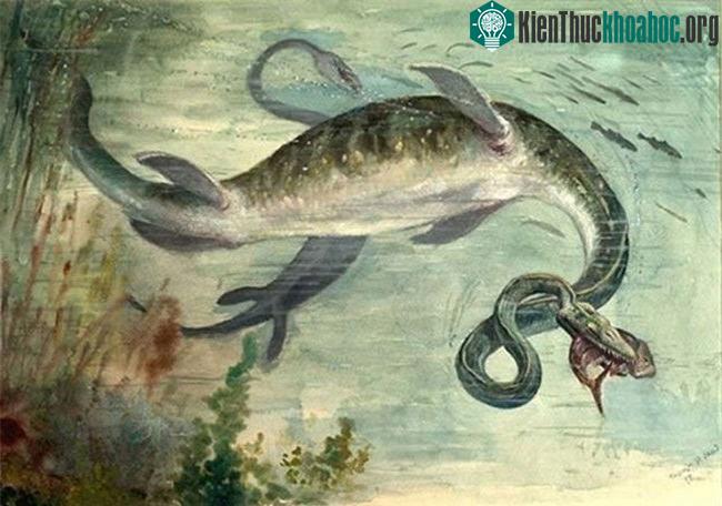Elasmosaurus