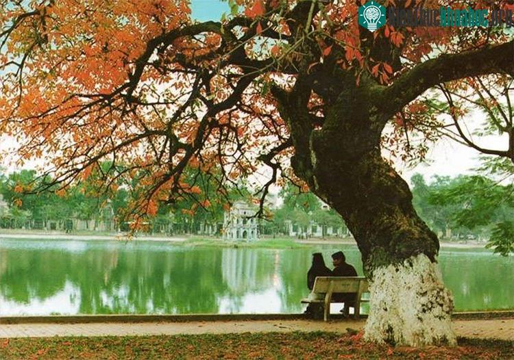 Mùa thu Hà Nội được ví như “đặc sản” không nơi nào có được.