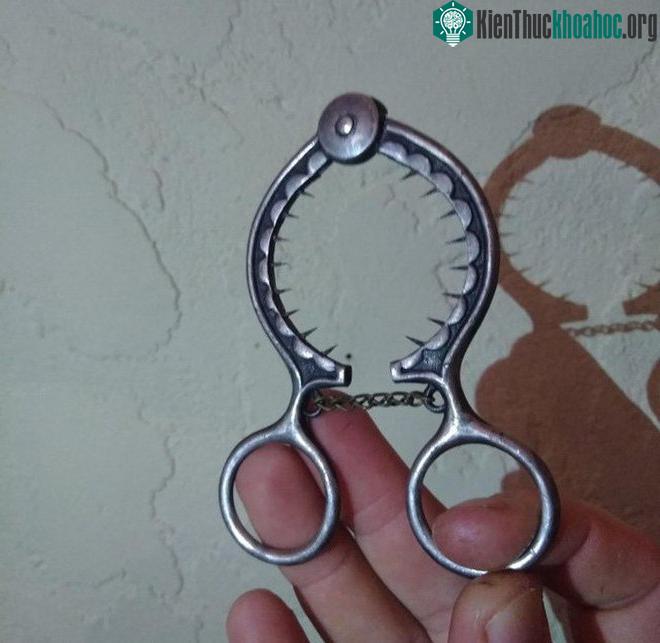 Thiết bị bóc vỏ trứng