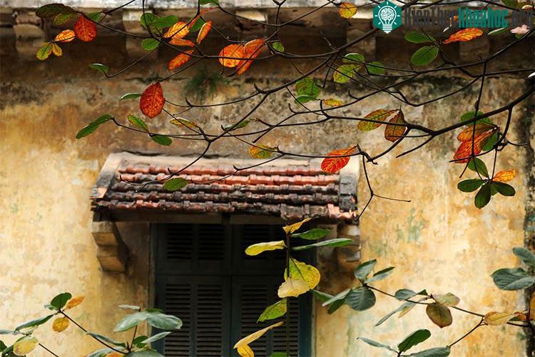 Những khoảnh khắc mùa thu Hà Nội đẹp nao lòng ảnh 12