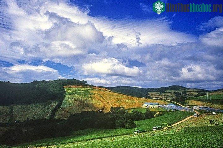 Gangneung ở tỉnh Gangwon là một trong những nơi thu hút du khách Hàn Quốc nhất.