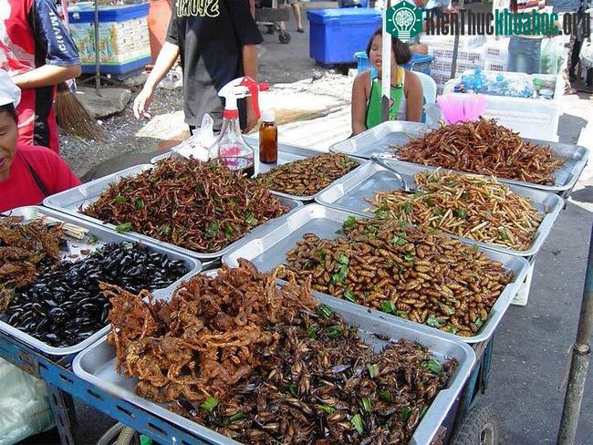 Thành phần trong thịt dế có thể giúp cải thiện sức khỏe đường ruột.