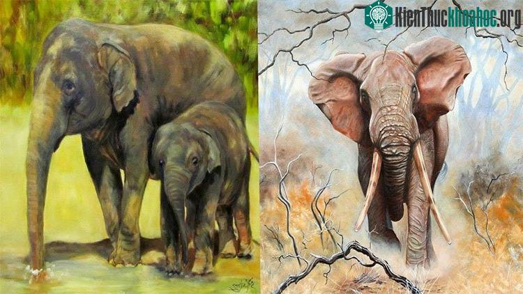 Tai voi giúp tản nhiệt cơ thể chứ không phải giúp nghe rõ hơn.