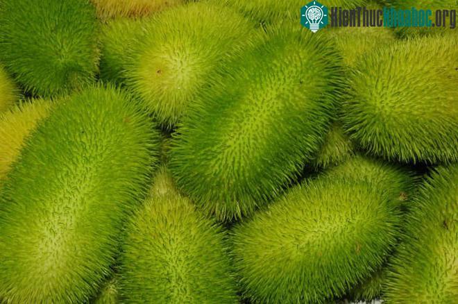 Bạn nghĩ đây là chôm chôm?