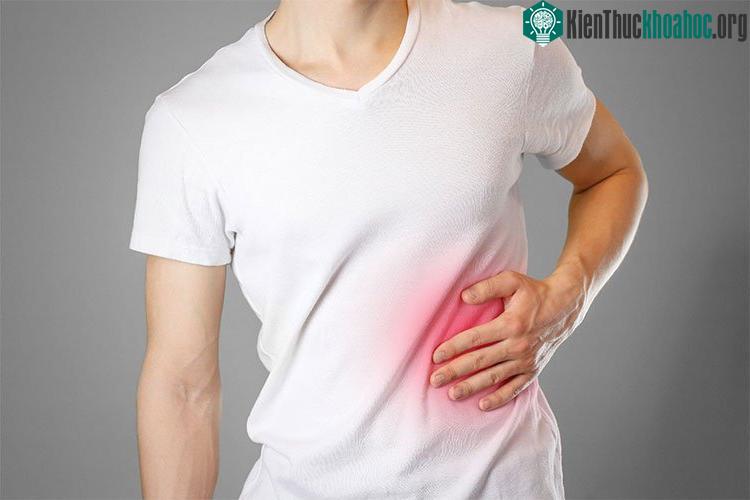 Men gan cao phản ánh tình trạng tế bào gan đang bị tổn thương, gan đang bị viêm.