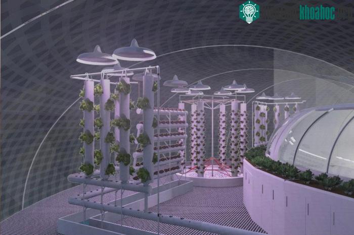 Một góc nhà kính tuyệt đẹp bên trong nhà